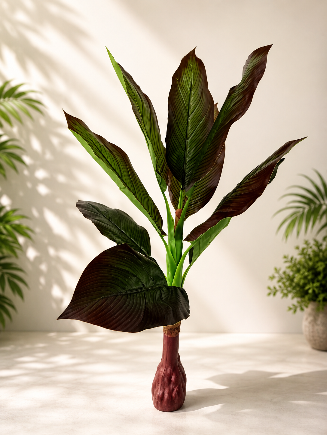 CALATHEA TREE